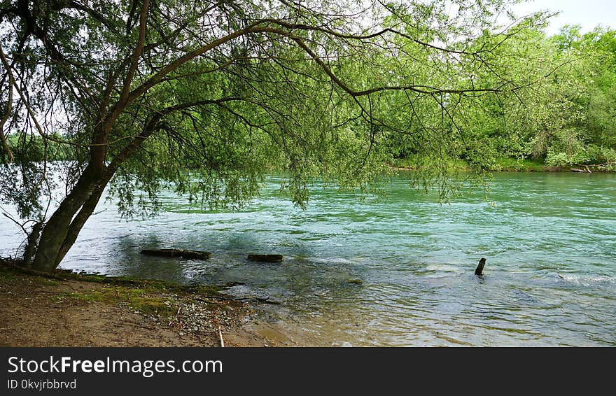 Water, River, Nature Reserve, Body Of Water