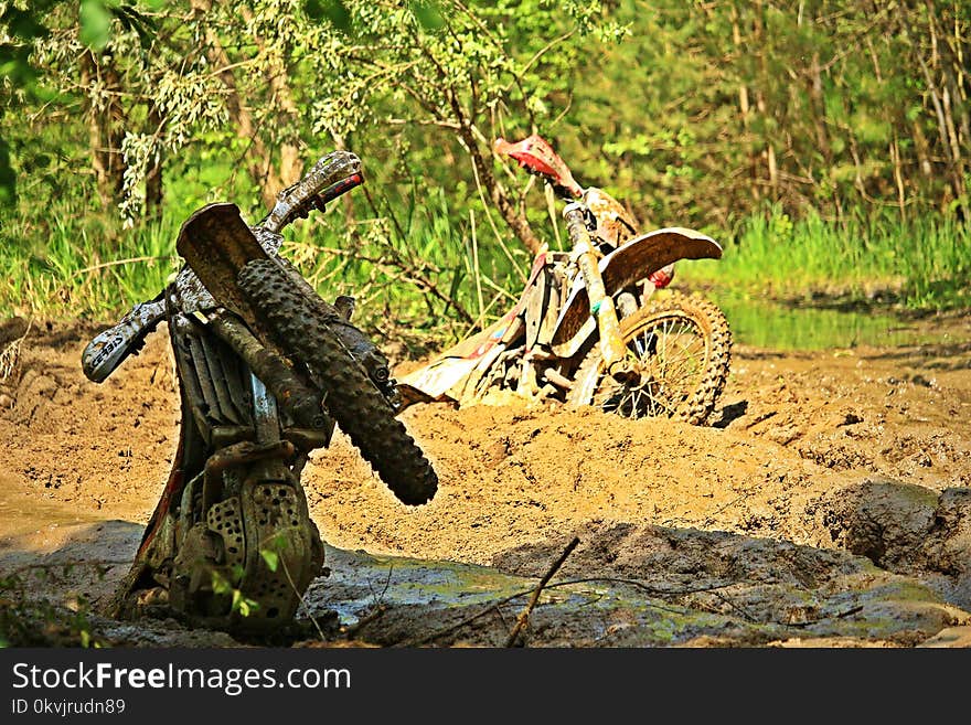 Soil, Forest, Jungle, Grass