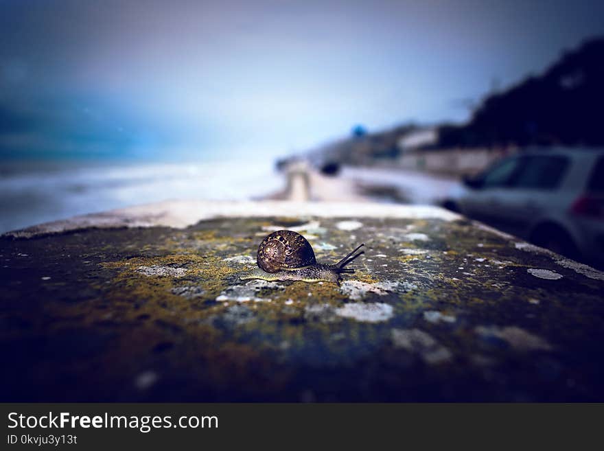 Water, Sea, Body Of Water, Sky