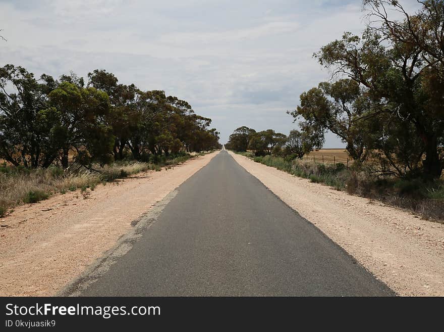 Road, Lane, Path, Sky