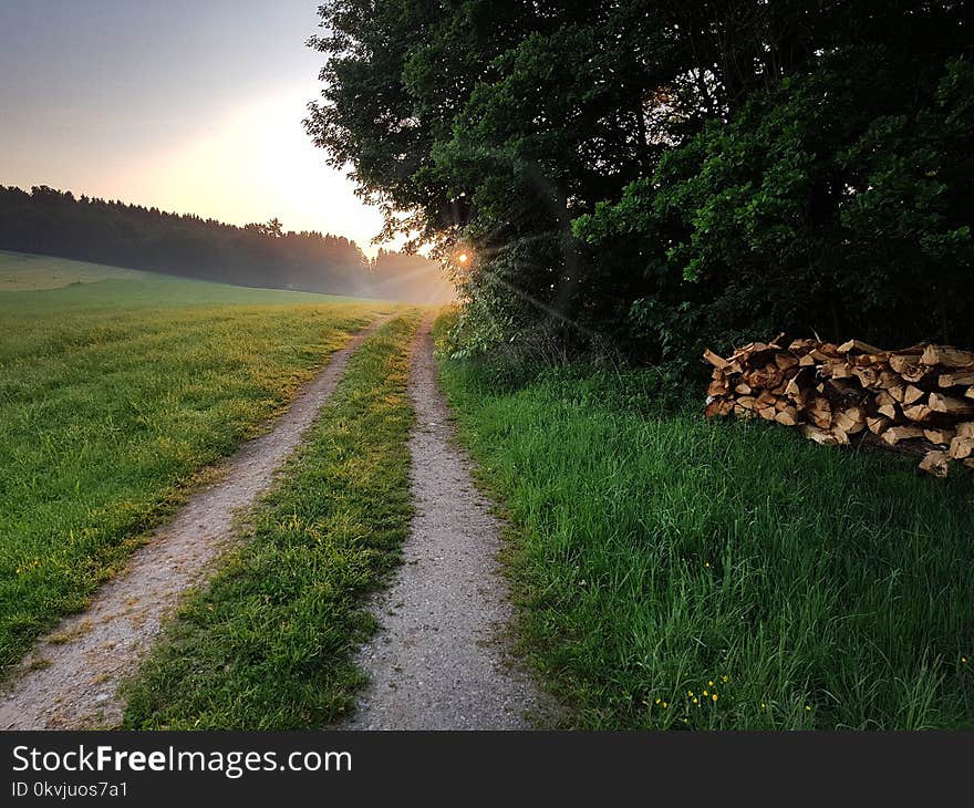 Road, Path, Sky, Field