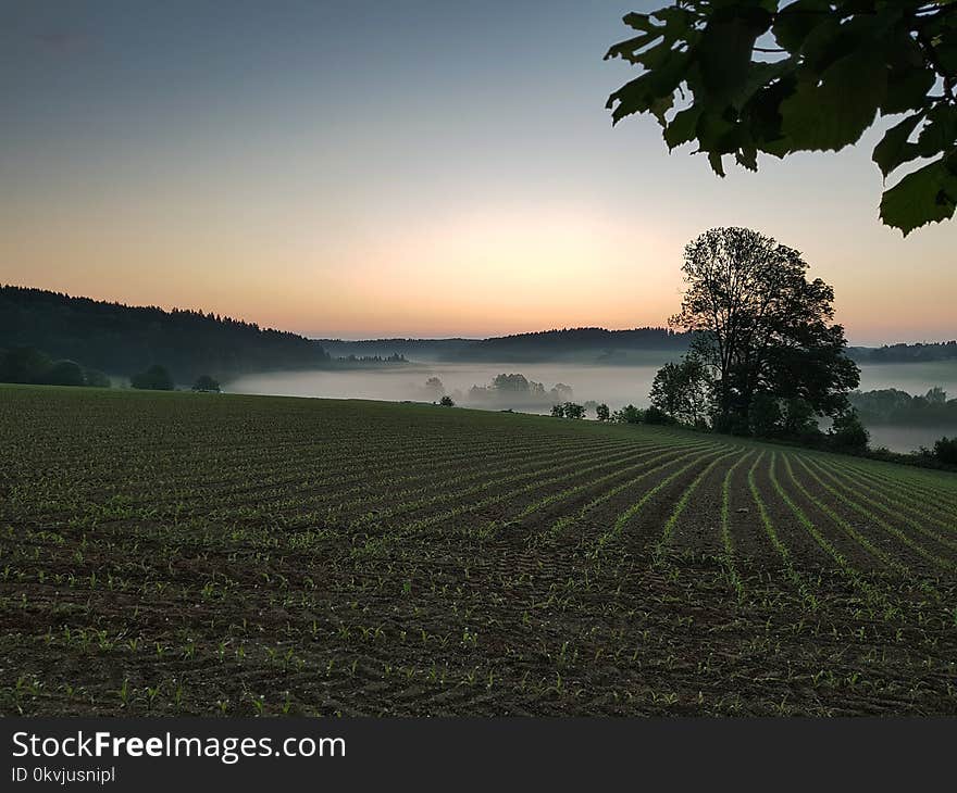 Field, Sky, Dawn, Morning