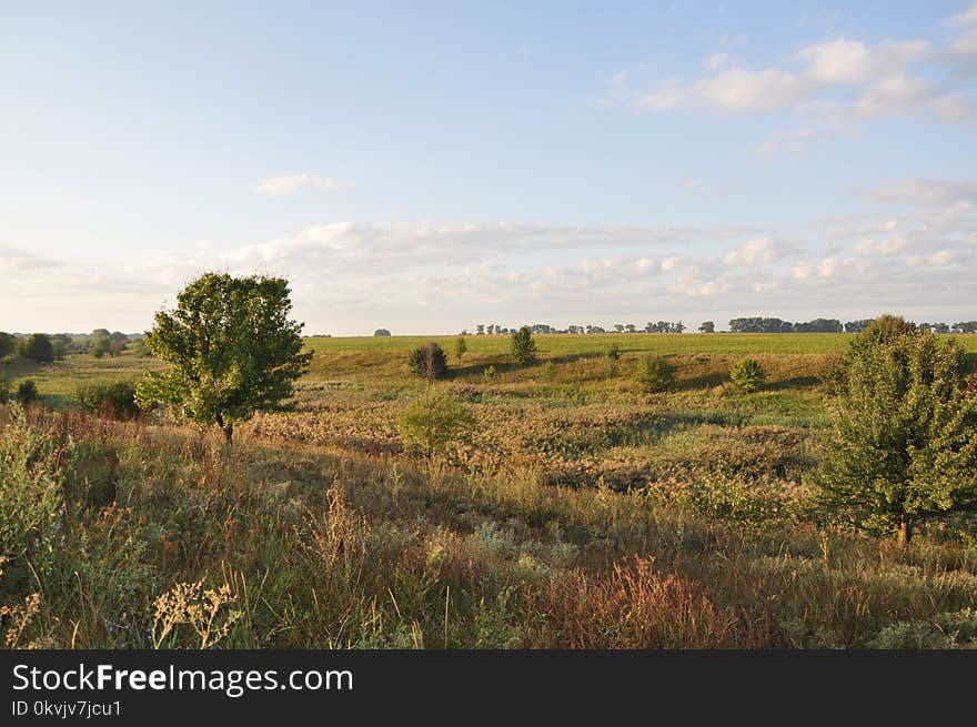 Grassland, Ecosystem, Prairie, Plain