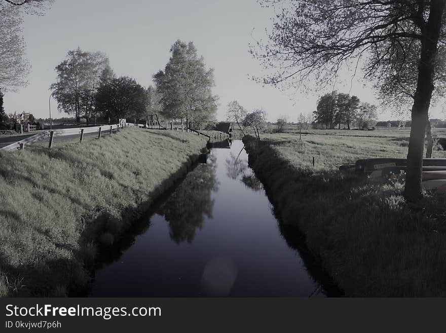 Waterway, Reflection, Water, Tree