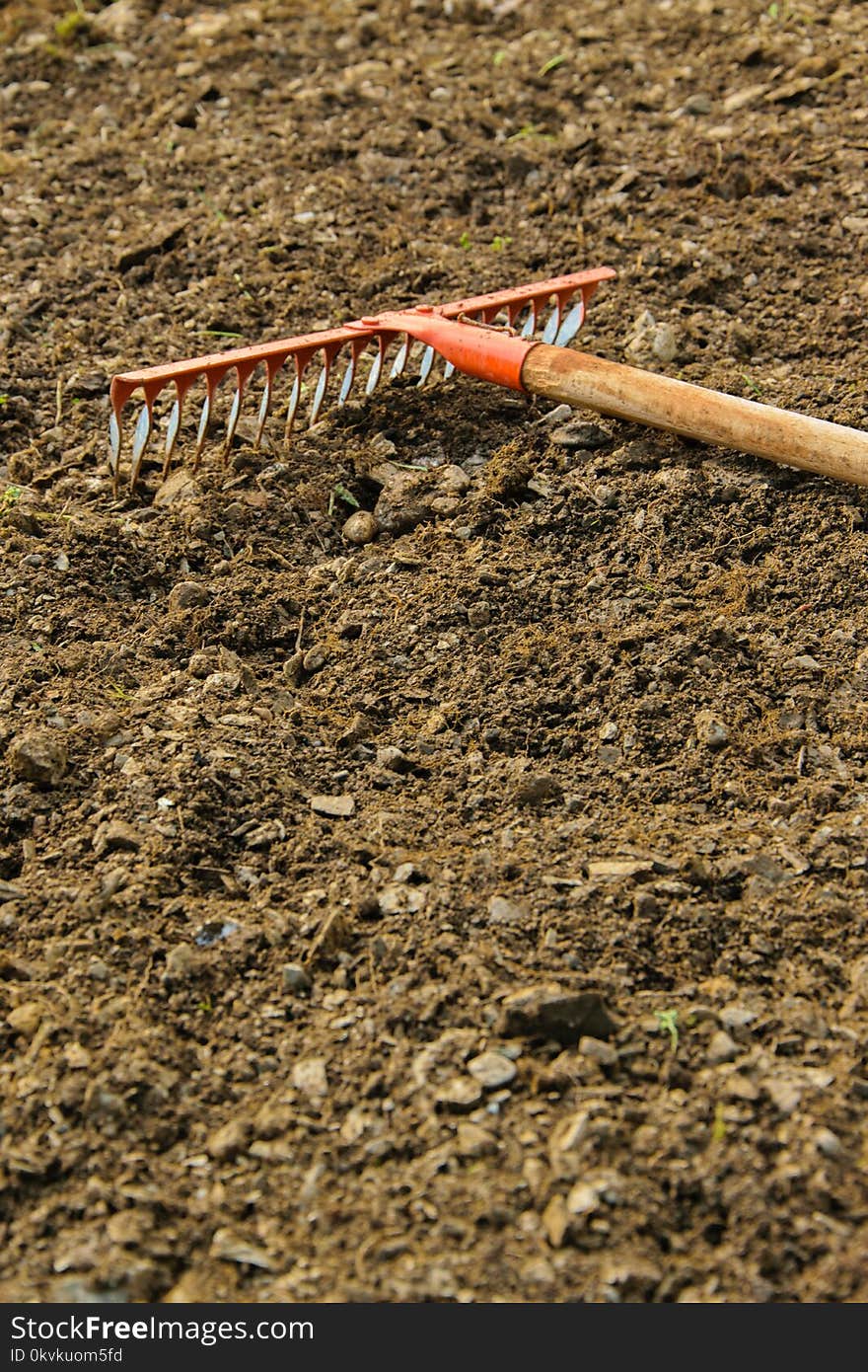 Rake in the soil, gardening/agricultural working tool, space for text