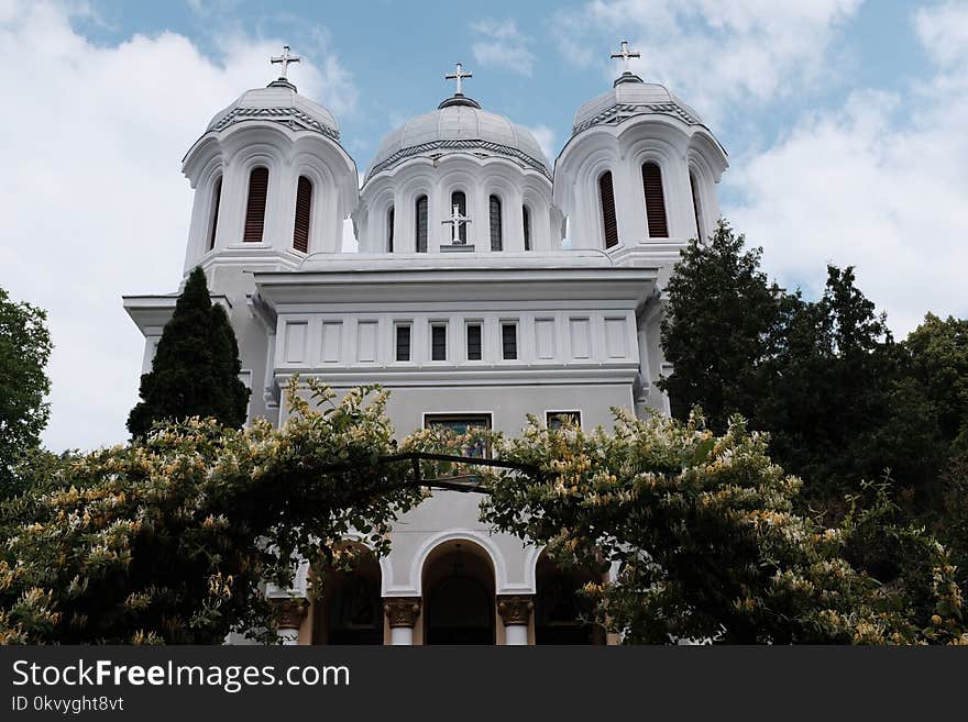 White Concrete Cathedral Near Trees