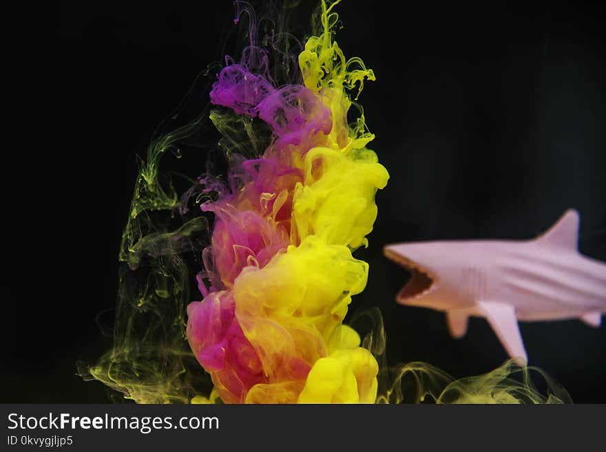 Pink and Yellow Ink Underwater Art Beside Shark Toy