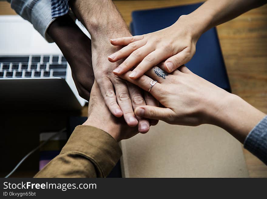 Five Person Holding Hands Together