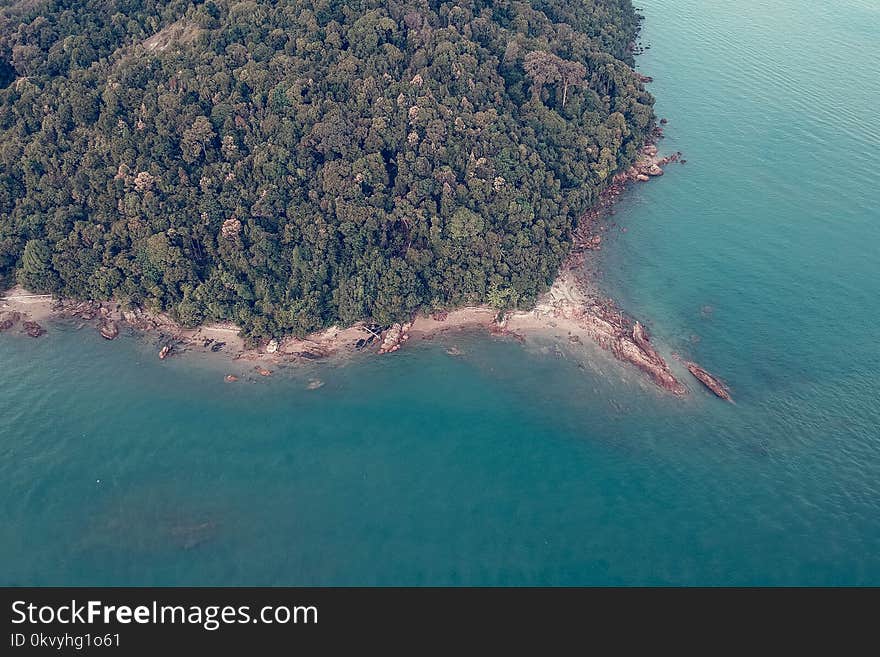 Aerial Photography of Green Trees Near Body of Water