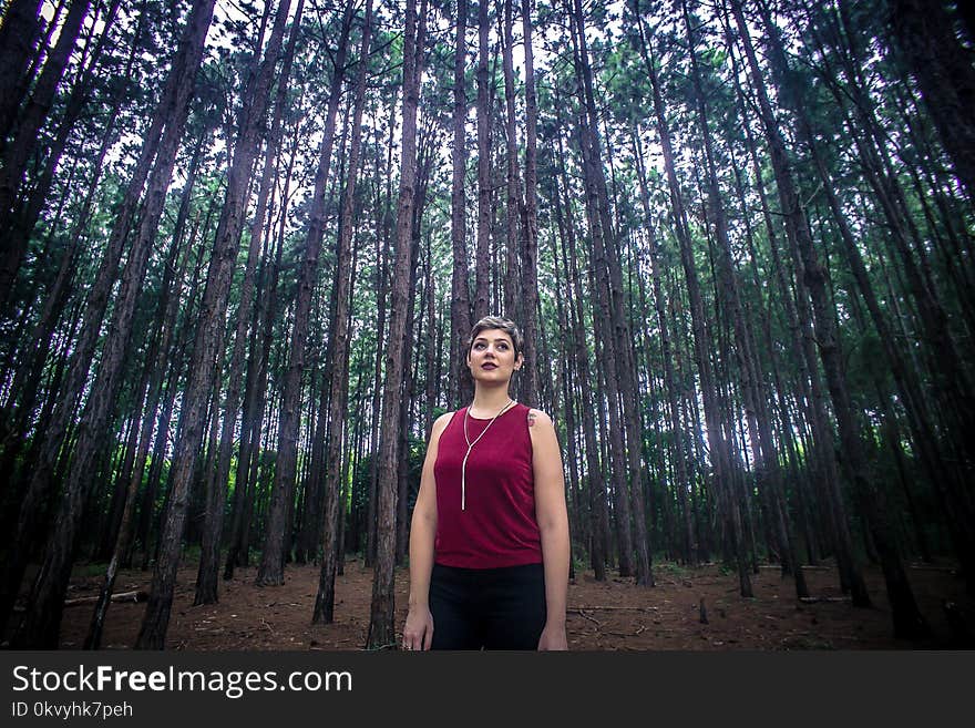 Woman Wearing Maroon Tank Top and Black Bottoms Surrounded With Brown Trees