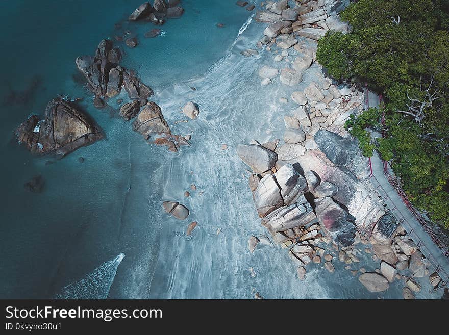 Bird&#x27;s Eye Photography of Island and Trees