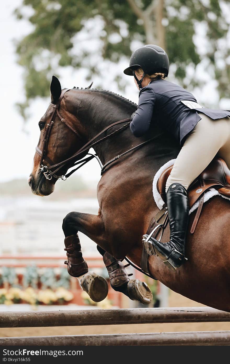 Photography of Person Riding Brown Horse