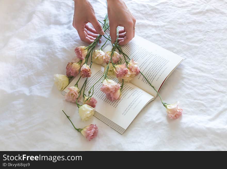 Pink-and-white Roses on Top of Open Book Nestled on White Textile