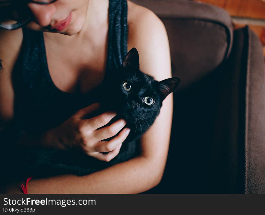 Person Carrying Black Cat