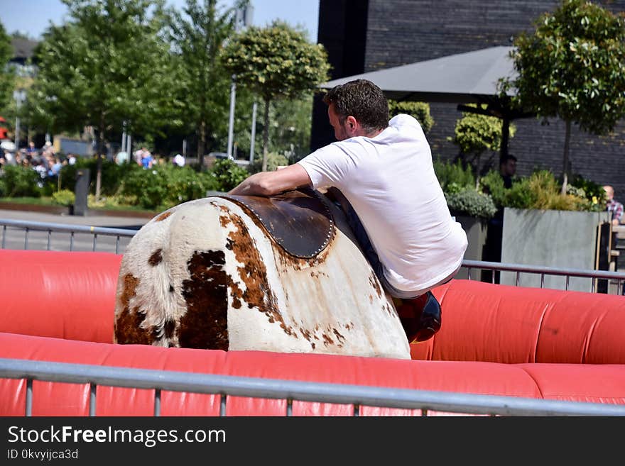 Man Riding White and Brown Animal at Daytime