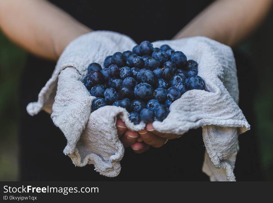 Person Holding Blueberries