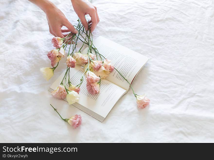 Pink-and-white Rose Flowers on White Printer Book