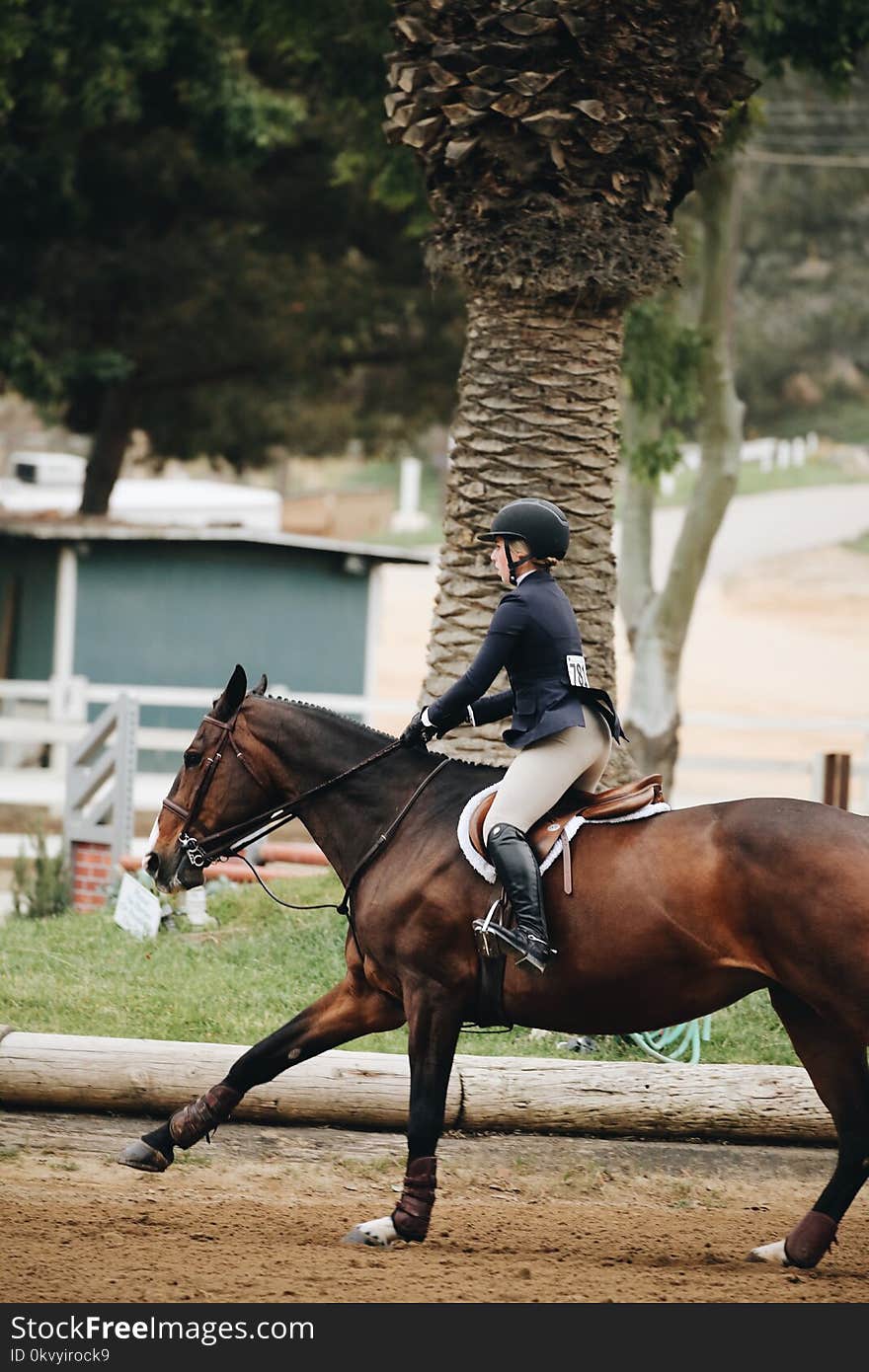 Woman Wearing Helmet Riding Horse