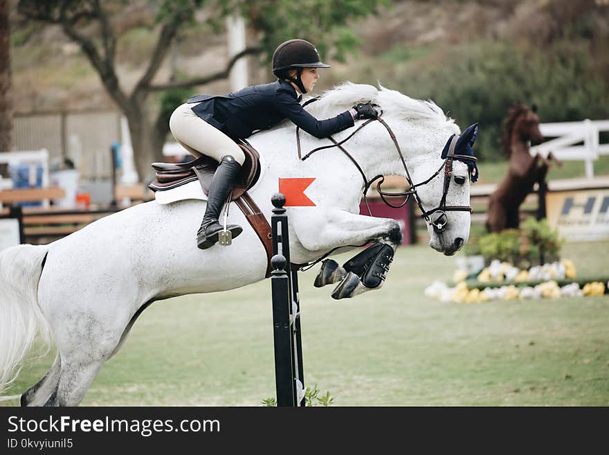 Woman Wearing Black Long-sleeved Blazer on White Horse