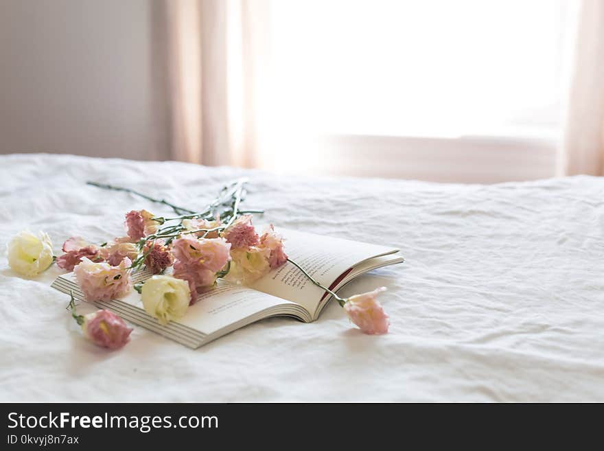 Flowers on Book Near Window