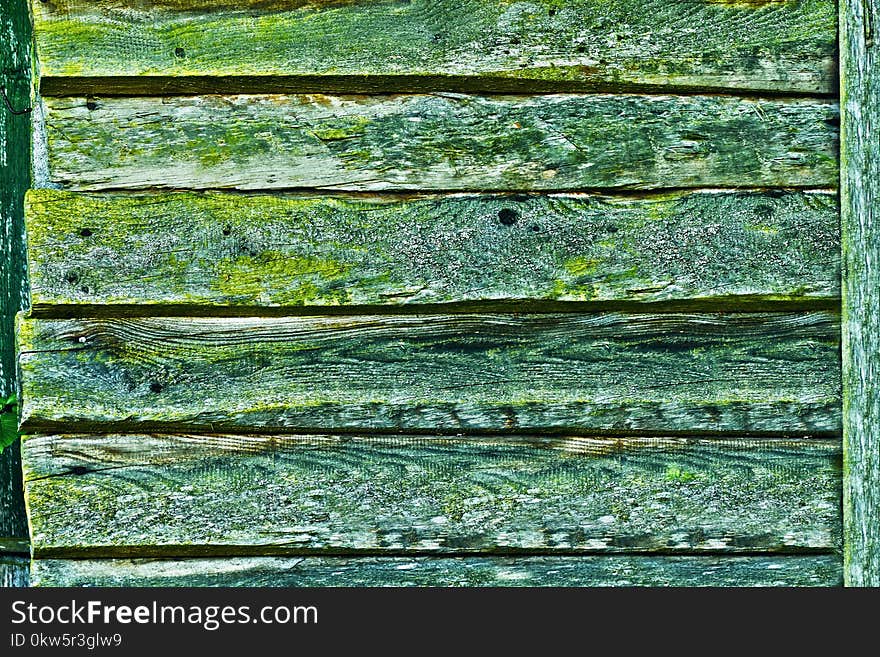 Green, Leaf, Grass, Wood