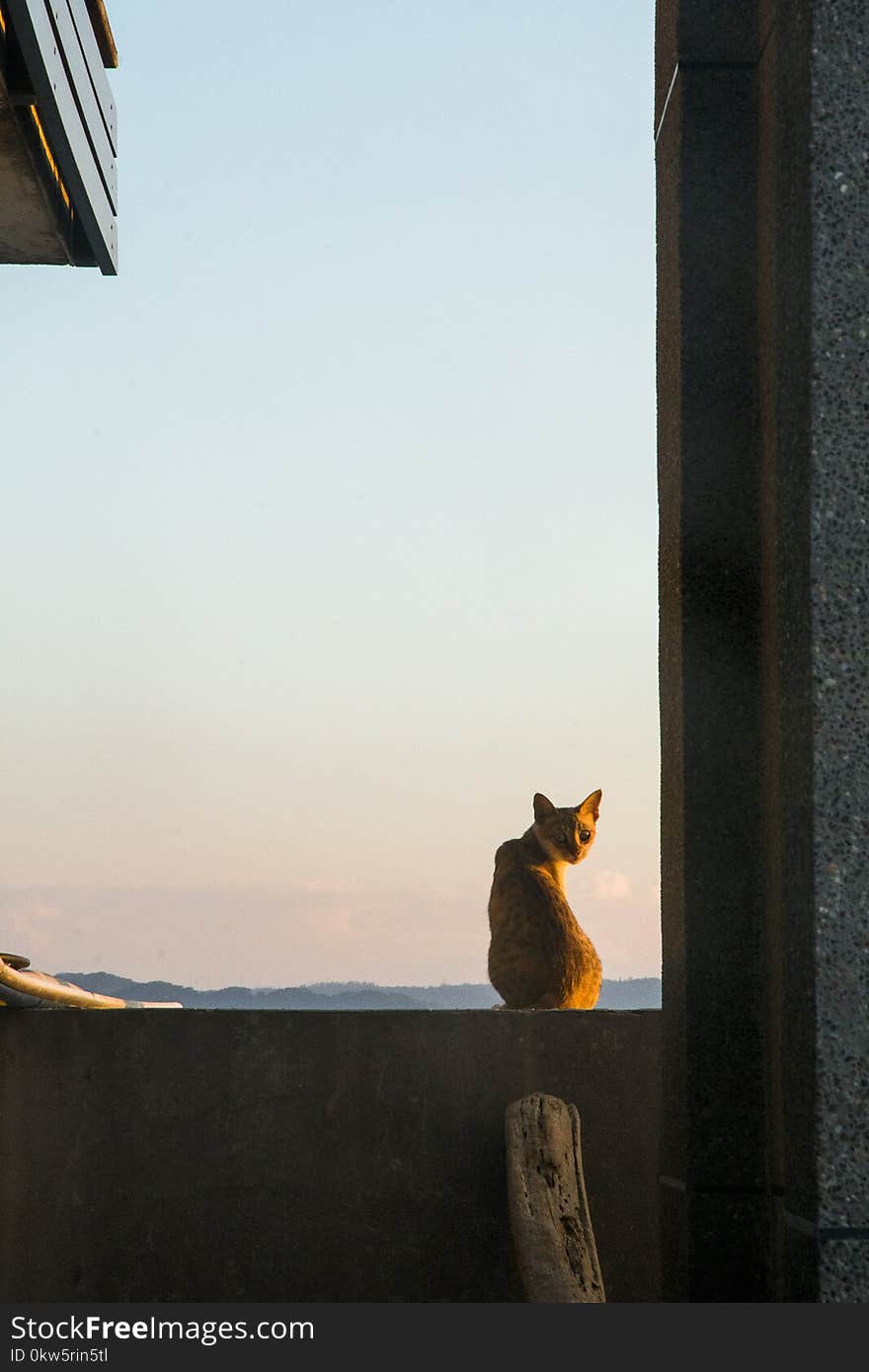 Sky, Window, Wood, Sunlight