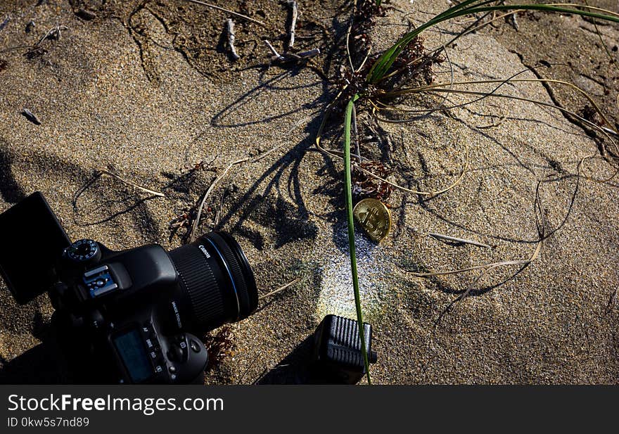 Soil, Tree, Photography, Plant