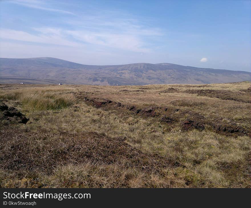 Ecosystem, Chaparral, Grassland, Shrubland