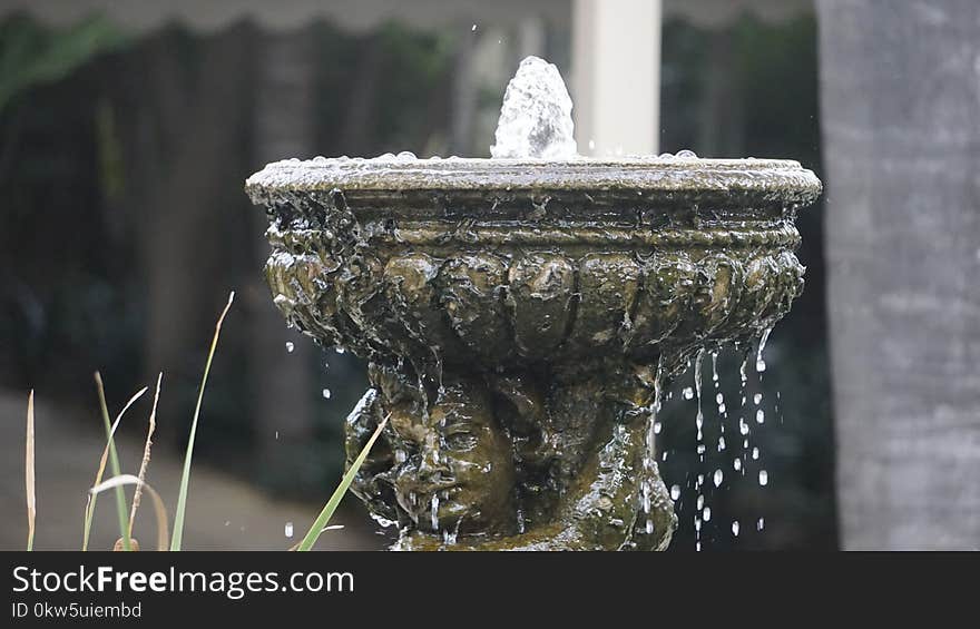 Water, Fountain, Freezing, Water Feature