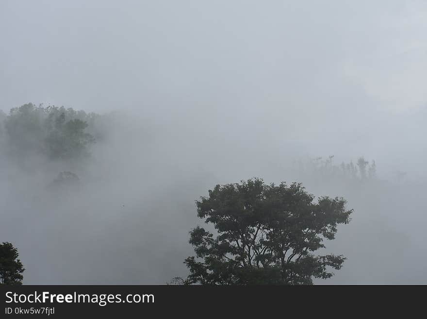 Fog, Mist, Sky, Cloud