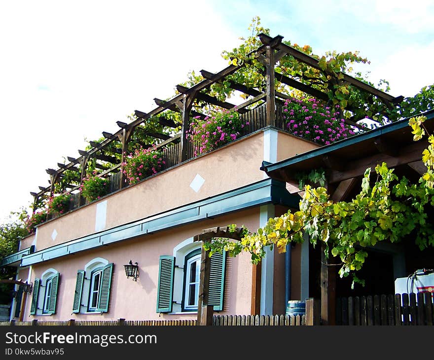 House, Architecture, Tree, Plant