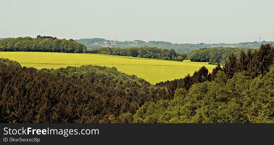 Agriculture, Rural Area, Field, Leaf