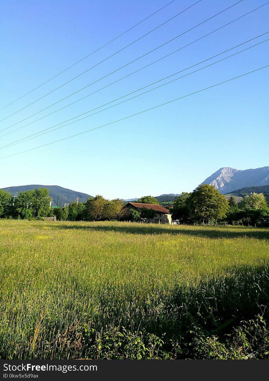 Grassland, Sky, Field, Plain