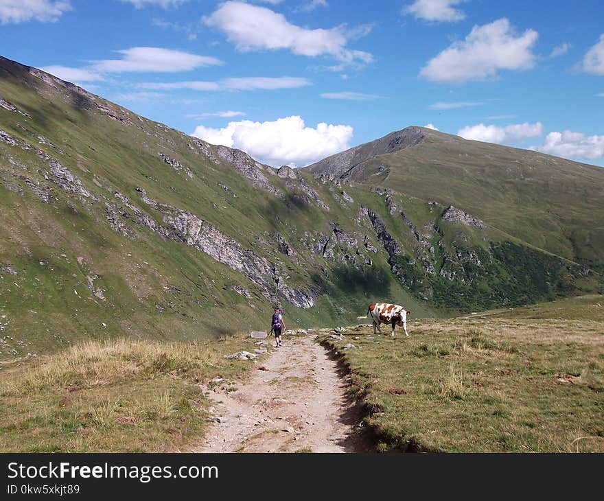 Grassland, Highland, Ridge, Mountainous Landforms