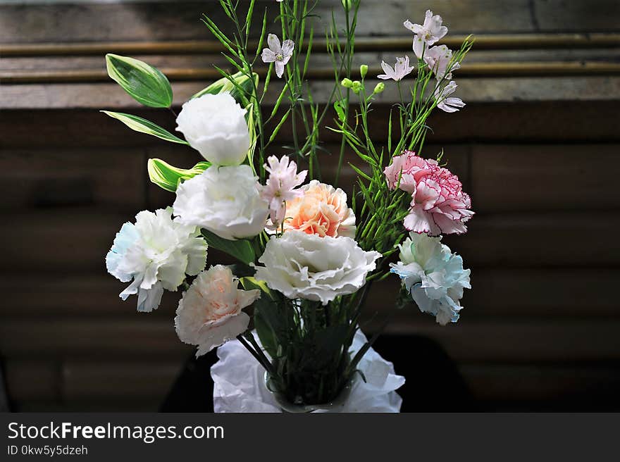 Flower, Flower Arranging, Floristry, Flowering Plant