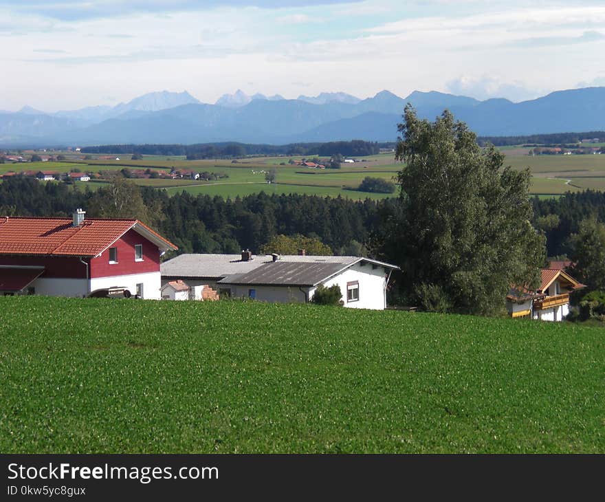 Grassland, Farm, Field, Property