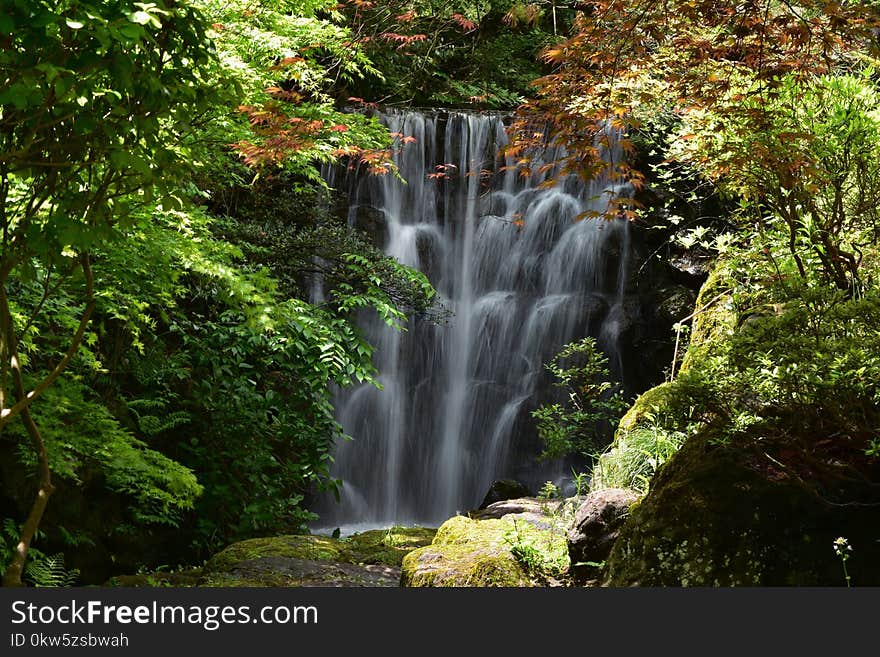 Waterfall, Water, Nature, Vegetation