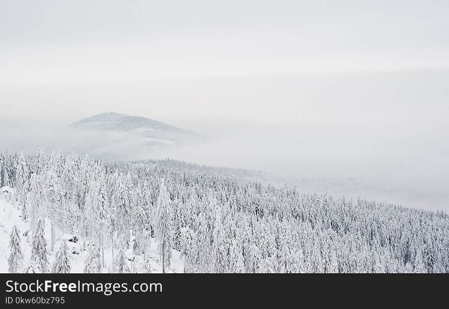 Winter, Snow, Sky, Freezing