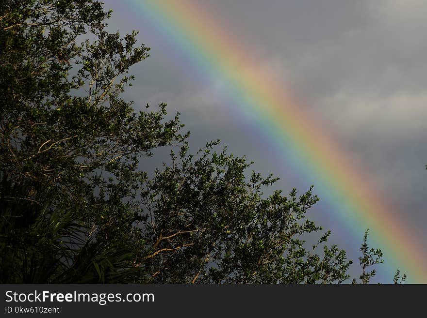 Rainbow, Sky, Meteorological Phenomenon, Phenomenon