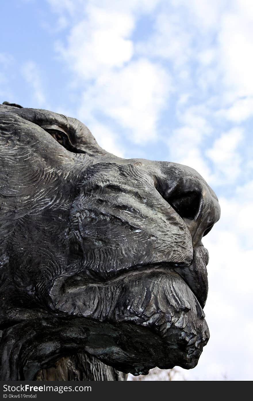 Sky, Sculpture, Statue, Head