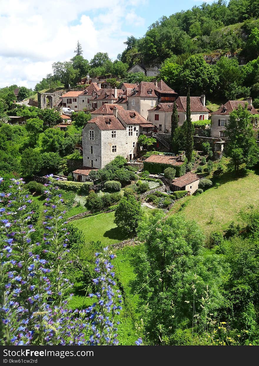 Vegetation, Mountain Village, Village, Tree