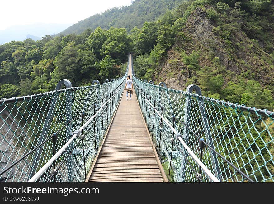 Bridge, Suspension Bridge, Nature Reserve, Rope Bridge