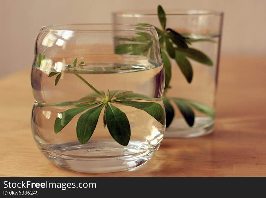 Glass, Old Fashioned Glass, Flowerpot