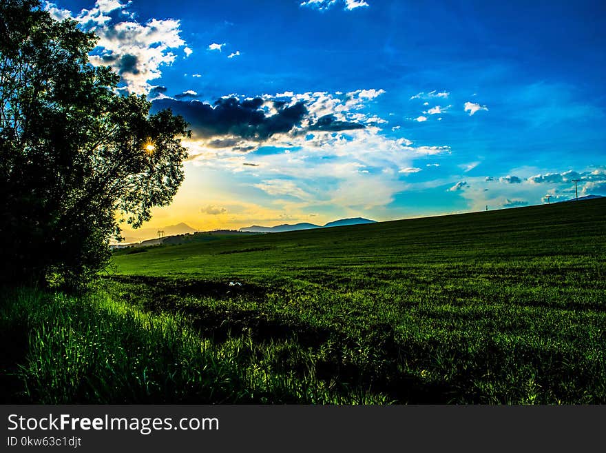 Sky, Grassland, Nature, Field