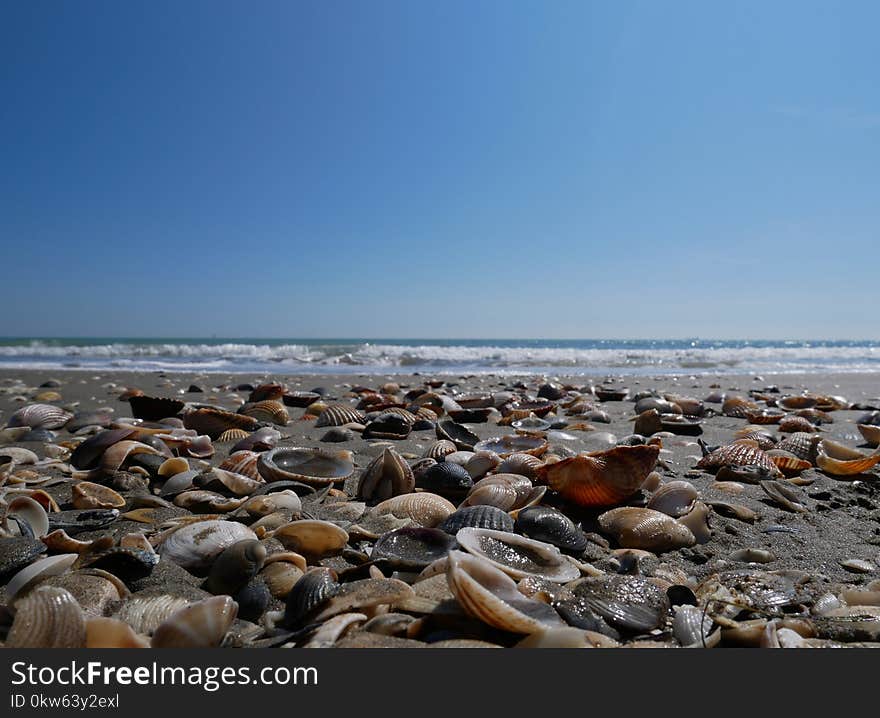 Shore, Sea, Sky, Coastal And Oceanic Landforms