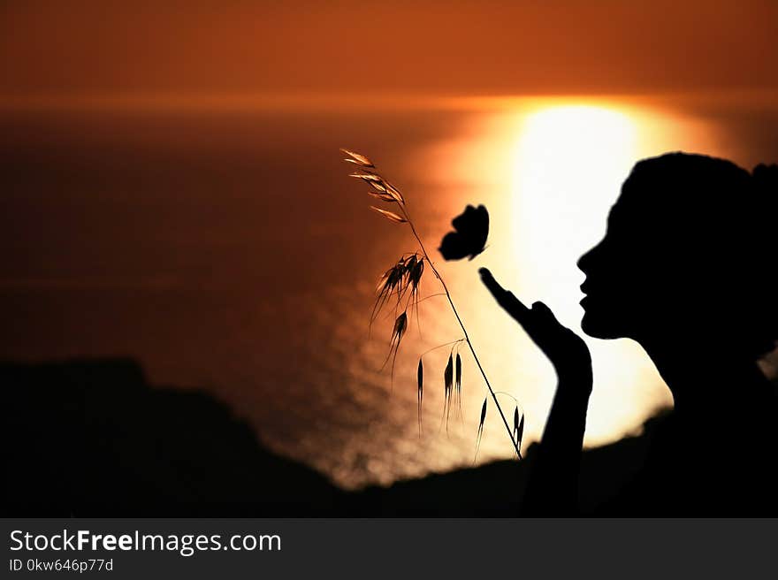 Silhouette, Sunrise, Backlighting, Sunset