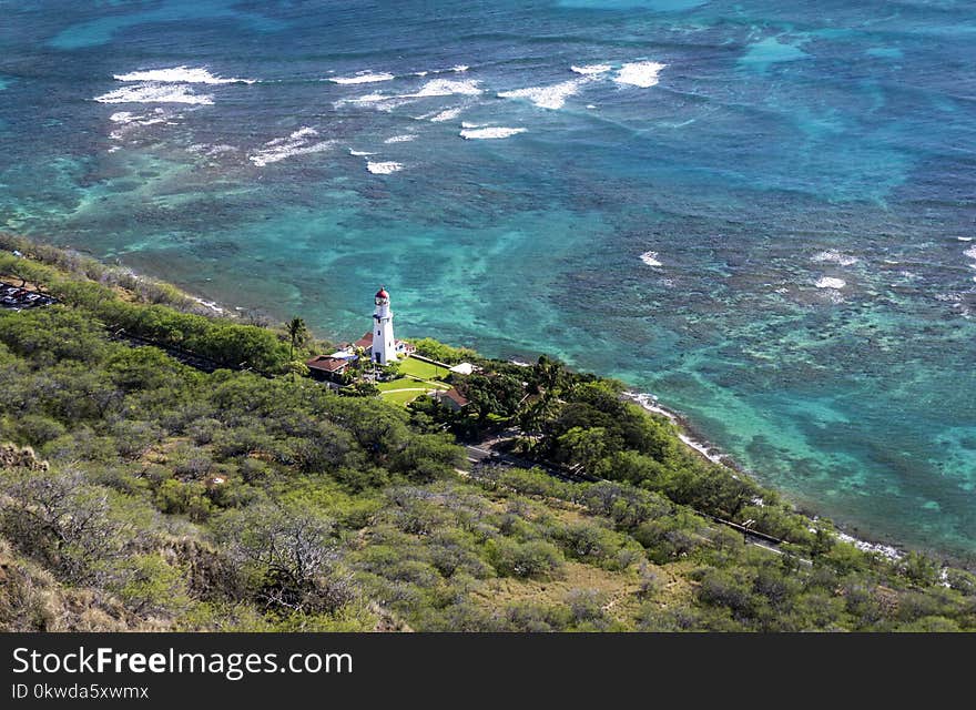 Aerial Photo of White Lighthouse Near Beach and Trees