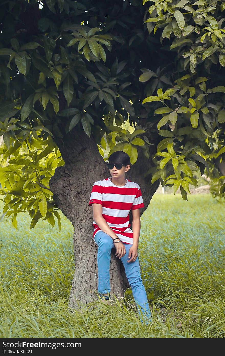 Man Wearing White and Red Stripe Crew-neck Shirt, Blue Denim Jeans, and Black Wayfarer-style Sunglasses Sitting Tree