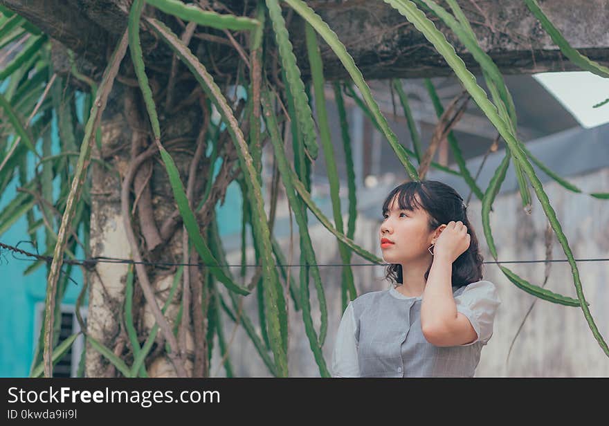 Woman Standing Near of Green Tree