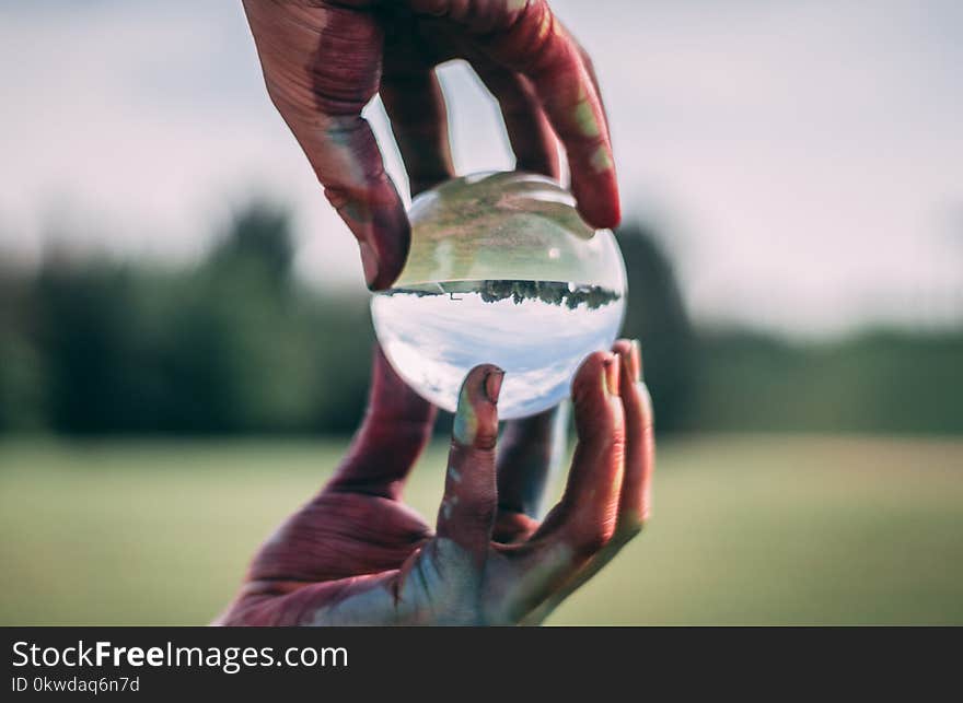 Person Holding Clear Ball in Shallow Focus Photography